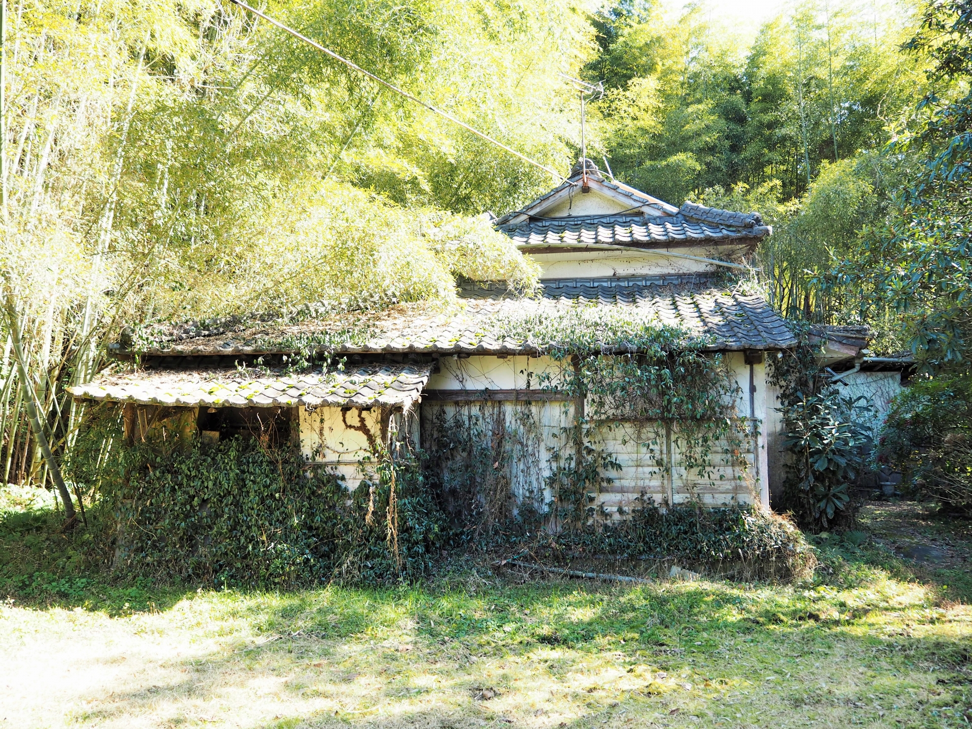 空き家売却の方法とは？基本的な流れも解説